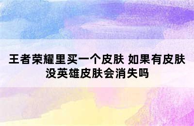 王者荣耀里买一个皮肤 如果有皮肤没英雄皮肤会消失吗